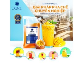 STAR KOMBUCHA NGUYÊN BẢN TÚI 3L 