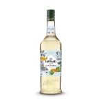 SIRO GIFFARD GỪNG 1L – GIFFARD GINGER SYRUP
