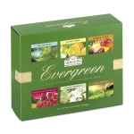 Bộ Sưu tập Trà Xanh Ahmad 6 Vị 115g