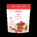 ANDROS DÂU ĐÔNG LẠNH TÚI 300G/FROZEN STRAWBERRY 300G