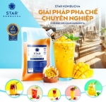 STAR KOMBUCHA NGUYÊN BẢN TÚI 3L 