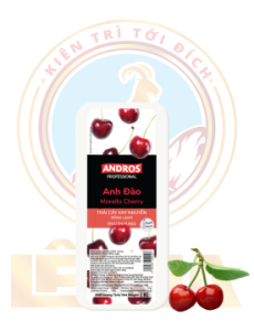 ANH ĐÀO XAY NHUYỄN ĐÔNG LẠNH HỘP 1KG CHERRY FROZEN PUREE 1KG (6/T)