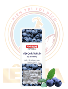 Việt Quất Đông Lạnh Andros 700G - Big Blueberry