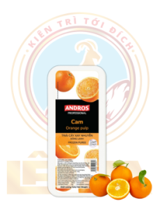 Cam xay nhuyễn đông lạnh Andros - ANDROS PROFESSIONAL ORANGE PULP FROZEN PUREE 1KG