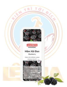 ANDROS MÂM XÔI ĐEN (BLACKBERRY) ĐÔNG LẠNH HỘP 600G 