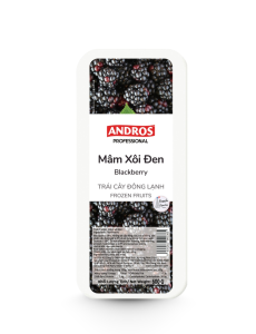 ANDROS MÂM XÔI ĐEN (BLACKBERRY) ĐÔNG LẠNH HỘP 600G 