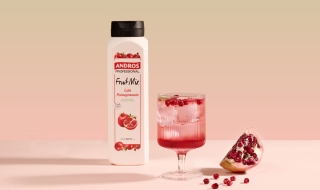 Công Thức Pomegranate Dill Gin & Tonic