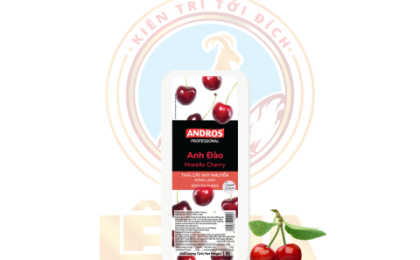 ANH ĐÀO XAY NHUYỄN ĐÔNG LẠNH HỘP 1KG CHERRY FROZEN PUREE 1KG (6/T)