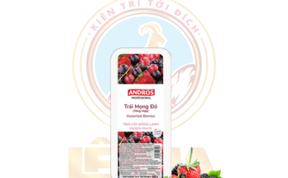 ANDROS TRÁI MỌNG TỔNG HỢP ĐÔNG LẠNH HỘP 600G