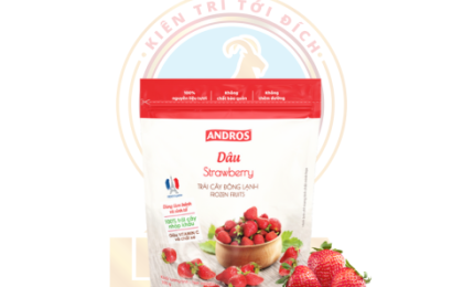 ANDROS DÂU ĐÔNG LẠNH TÚI 300G