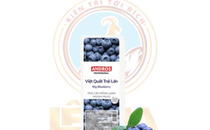 Việt Quất Đông Lạnh Andros 700G - Big Blueberry