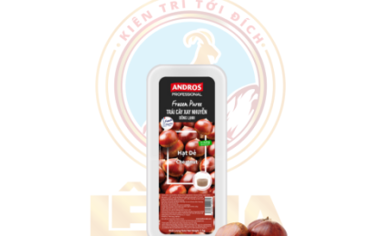 Hạt Dẻ Xay Nhuyễn Đông Lạnh Andros Hộp 1KG CHESTNUT FROZEN PUREE