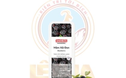ANDROS MÂM XÔI ĐEN (BLACKBERRY) ĐÔNG LẠNH HỘP 600G 