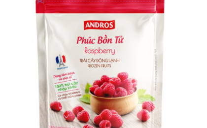 ANDROS PHÚC BỒN TỬ ĐÔNG LẠNH TÚI 300G/FROZEN RASPBERRY 300G