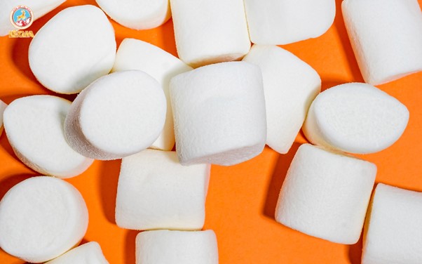 Syrup 1883 Toasted Marshmallow - Mềm mại thơm ngát hương kẹo nướng