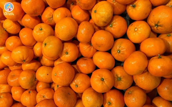 Syrup 1883 Tangerine