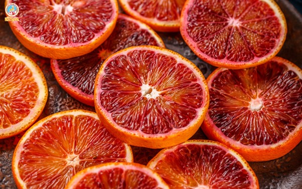 Syrup 1883 Blood Orange 