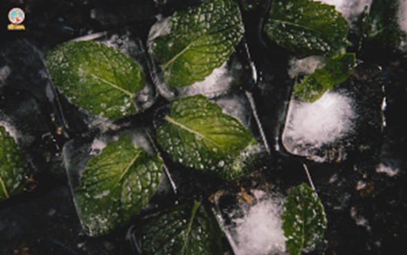 iced mint