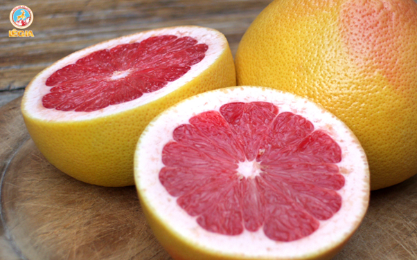 Syrup 1883 Pink Grapefruit