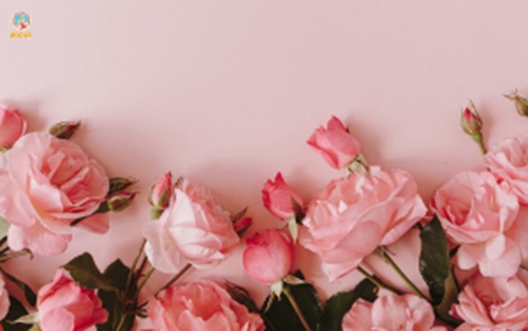 Syrup 1883 Rose - mang sự ngọt ngào tê dại của hoa quốc dân