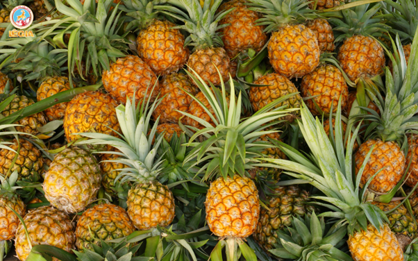 SYRUP 1883 THƠM 1L - PINEAPPLE