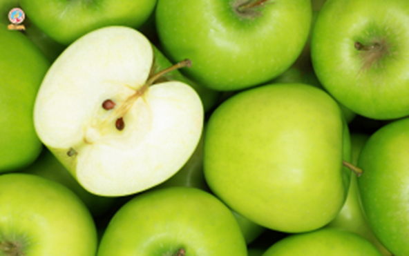 Syrup green apple 1883