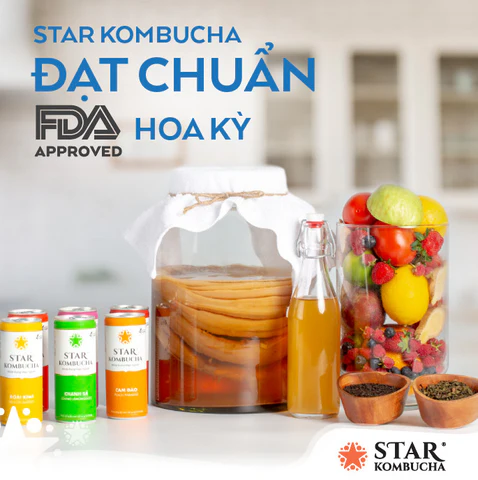 STAR KOMBUCHA ỔI HỒNG 250ML