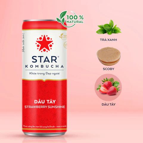 STAR KOMBUCHA DÂU TÂY 250ML 